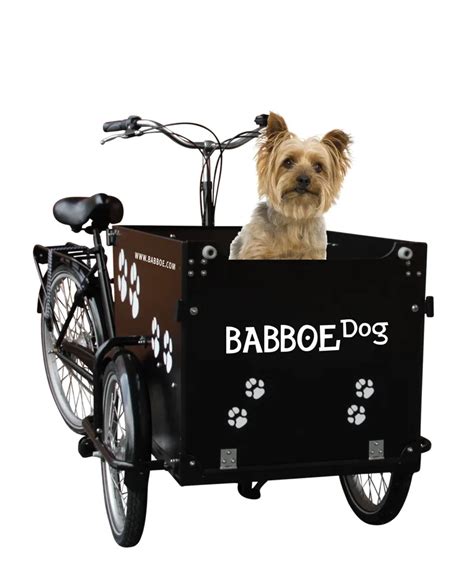 babboe dog elektrisch